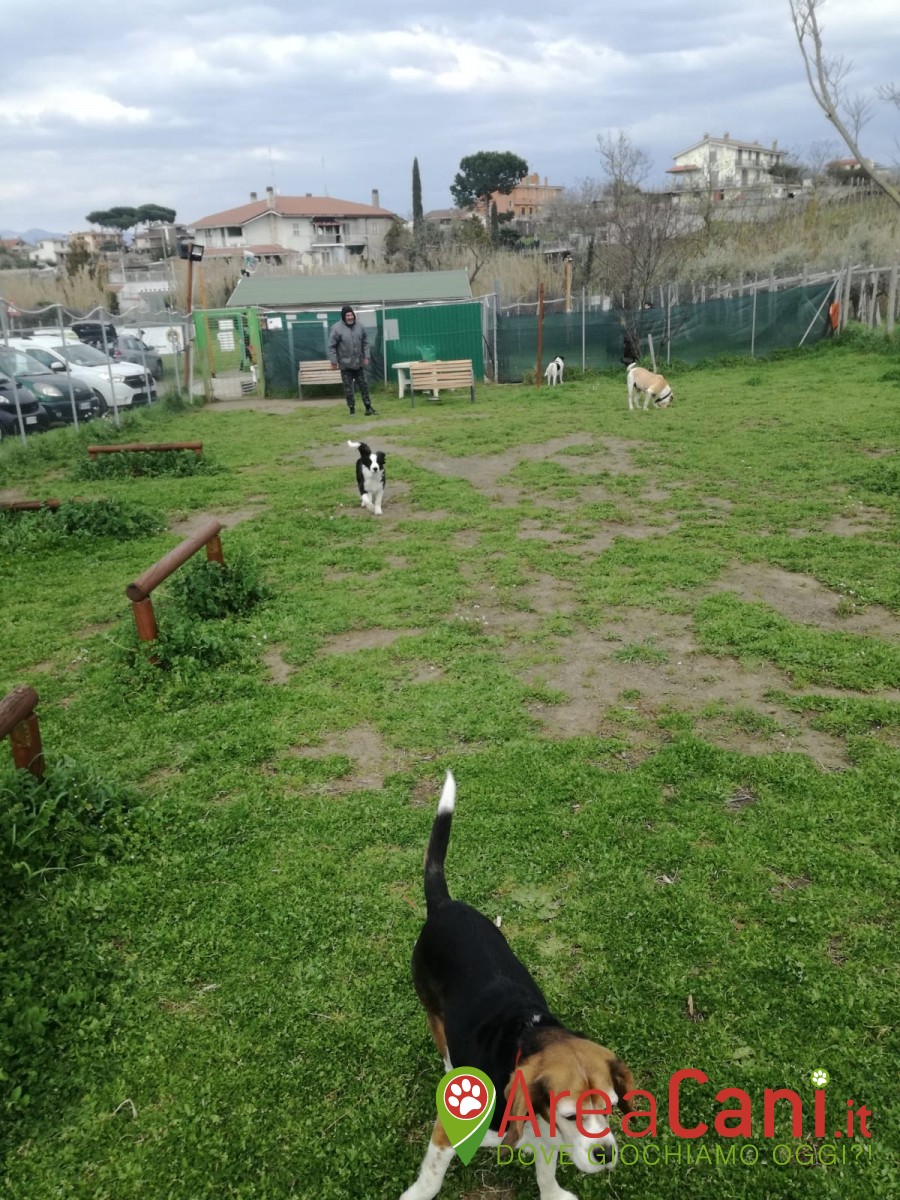 Dog Park Roma - Manu Dog Camp (private)