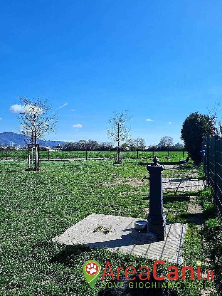 Dog Park Brescia - Via Venturi