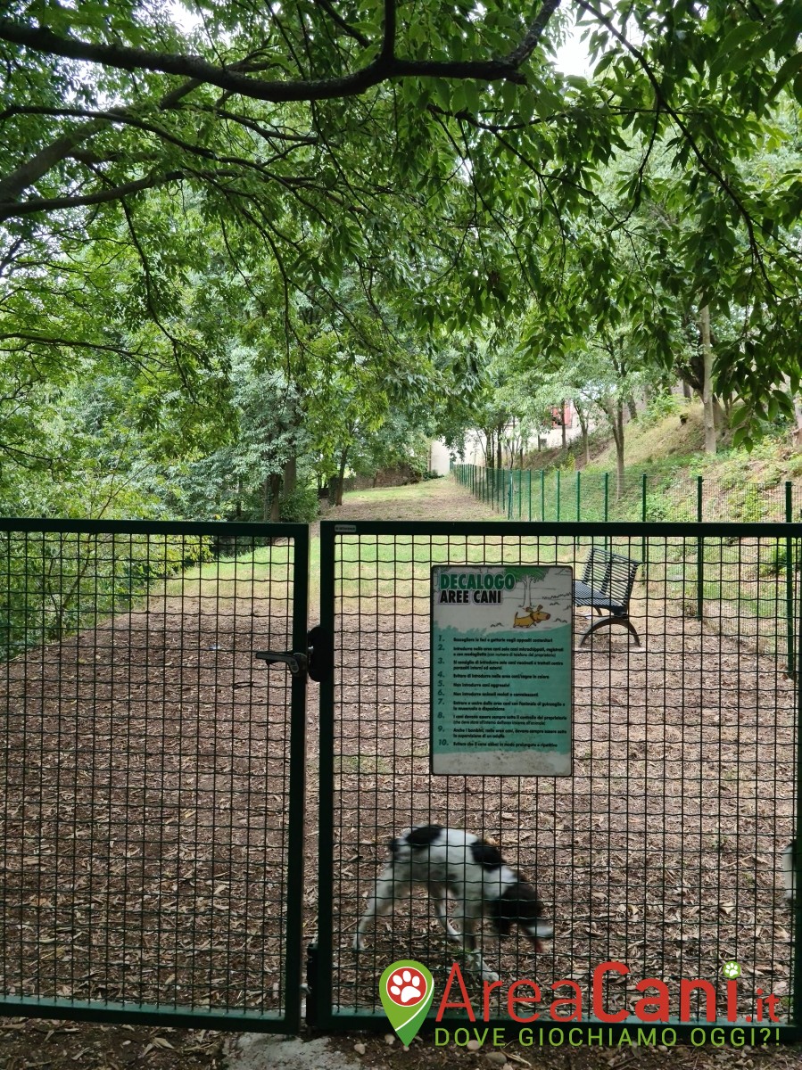 Dog Park Volta Mantovana - I Giardini