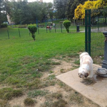 Dog Park Brescia - Parco Casazza