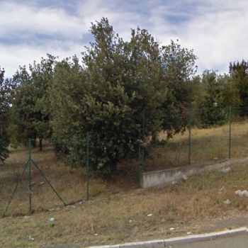 Dog Park Furci - via Stingi