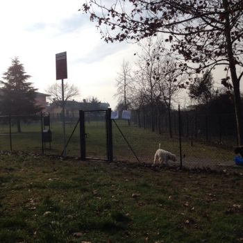 Dog Park San Mauro Pascoli - via Sandro Botticelli