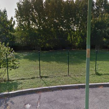 Dog Park Brescia - Parco Pertini