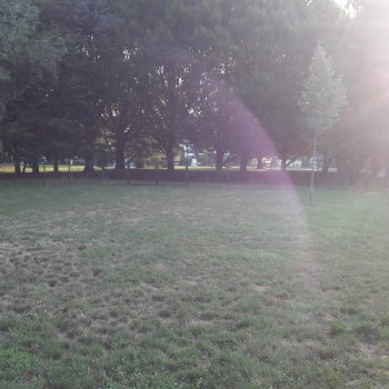 Dog Park Legnano - via Premuda