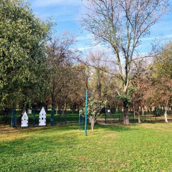Dog Park Brescia - Area verde