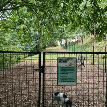 Dog Park Volta Mantovana - I Giardini