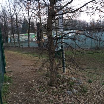 Dog Park Gussago - via Bevilacqua