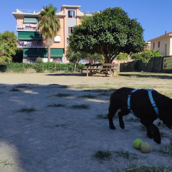 Dog Park Bordighera - Via Giovanni Falcone Paolo Borsellino e Scorte